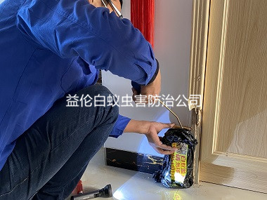 梯面住宅白蚁危害防治
