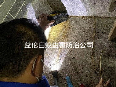 炭步老房屋灭治白蚂蚁