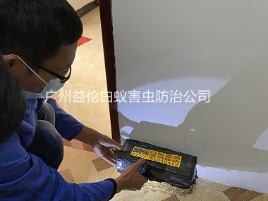新华时代城杀白蚁