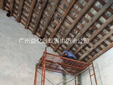 赤坭陈氏大宗祠白蚁防治