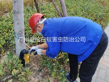 梯面王子山森林公园灭治白蚁