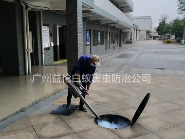 花山镇工业园除四害
