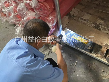 狮岭仓库白蚁防治