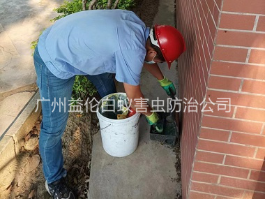 北兴企业外围施药灭鼠