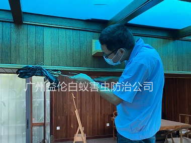 赤坭村上门治白蚁危害