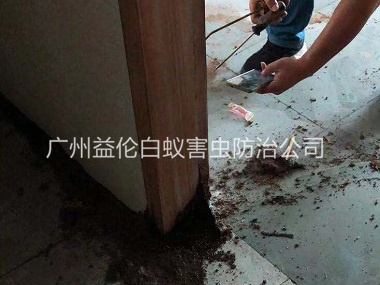 新华房屋防治白蚁