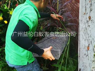 北兴除四害公司抓蛇工程