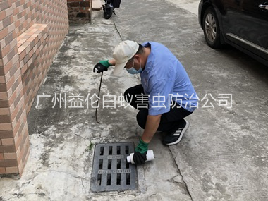 梯面蚊蝇孳生地消杀