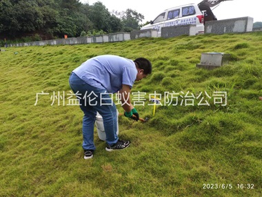 炭步堤坝有害蚁类防控