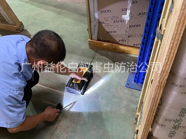 雅瑶工厂车间治白蚁