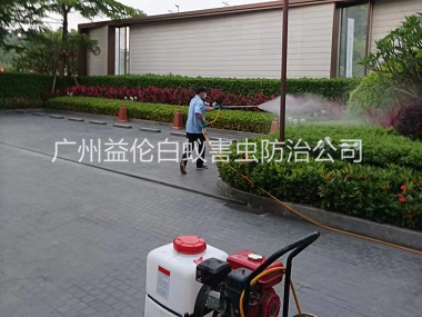花东公园消杀蚊虫