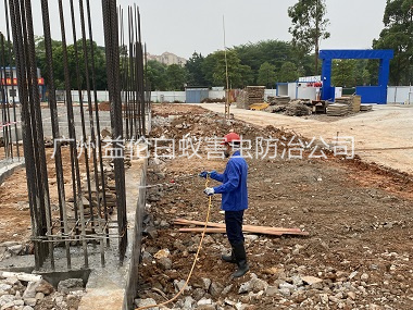 赤坭新建防白蚁工程
