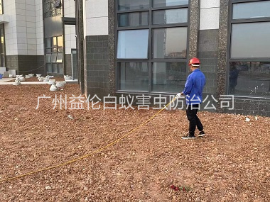 花侨房屋白蚁预防