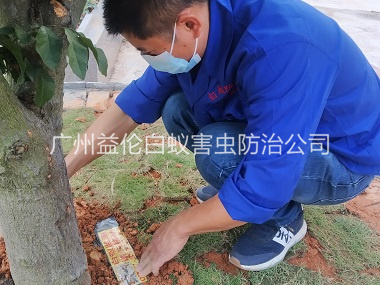 梯面安装白蚁诱杀箱