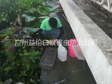 雅瑶虫控站进行捕蛇