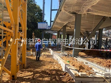 花东建房工程防白蚁