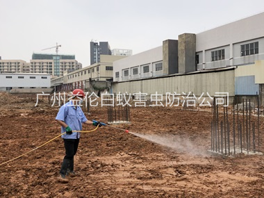 北兴基础预防白蚁
