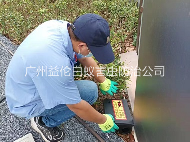 花都施药灭鼠工程