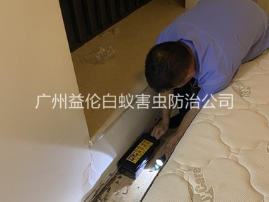 新华家居白蚁灭治