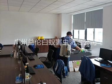 广州室内消杀蚊虫工程