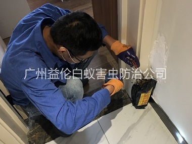 狮岭住宅白蚁防治工程