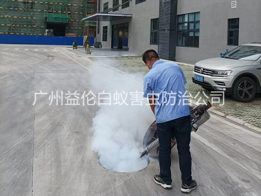 花东环境除四害工程