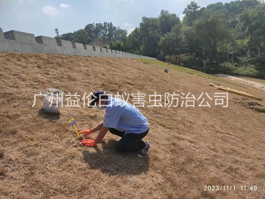 花山堤坝白蚁灭治工程