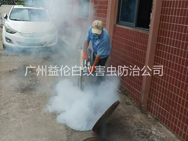 狮岭环境蟑螂消杀工程