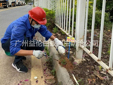 花都红火蚁防治工程