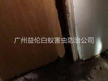 狮岭白蚁危害防治工程