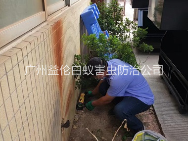 赤坭投放灭鼠装置工程
