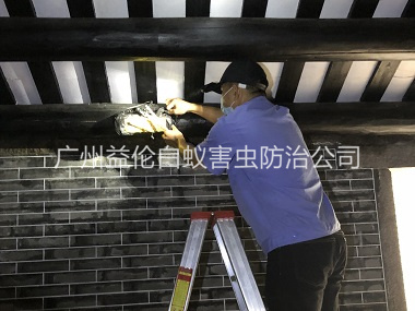 炭步祠堂杀灭白蚁工程