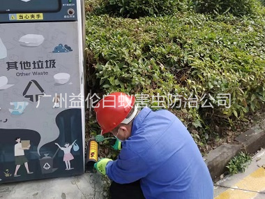 花都区施药灭鼠工程