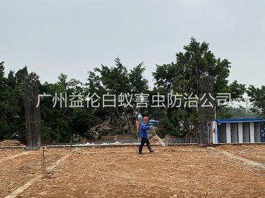 北兴地基新建预防白蚁工程