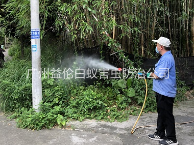 芙蓉有害生物消杀工程