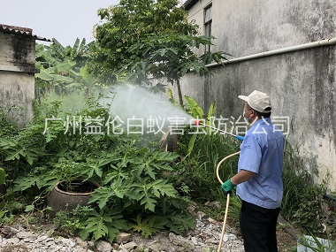 广州社区消灭蚊子工程