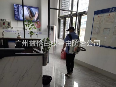 花东室内杀灭蚊蝇工程