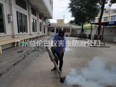 狮岭下水道治蚊虫工程