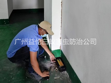 花山电机房灭杀白蚁工程